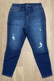 1822 Denim Plus 28' RE:Denim HR Destructed Ankle Skinny - L and L Stuff