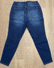 1822 Denim Plus 28' RE:Denim HR Destructed Ankle Skinny - L and L Stuff